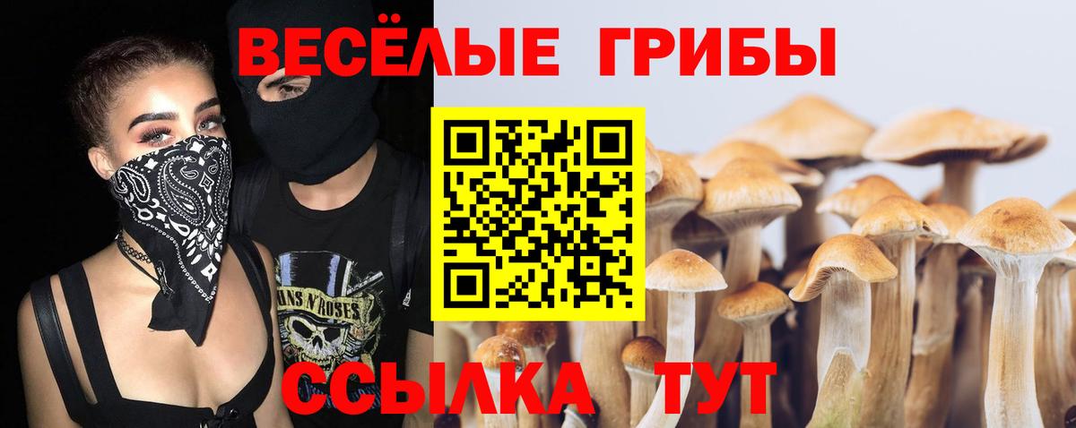 Галлюциногенные грибы MAGIC MUSHROOMS  Псилоцибиновые грибы MAGIC MUSHROOMS  Вход с VPN  Кудрово 