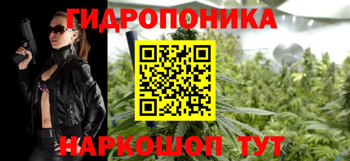 Каннабис SATIVA & INDICA Кудрово